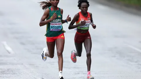 鬼武者剑道巅峰：终极预告震撼揭晓在即！